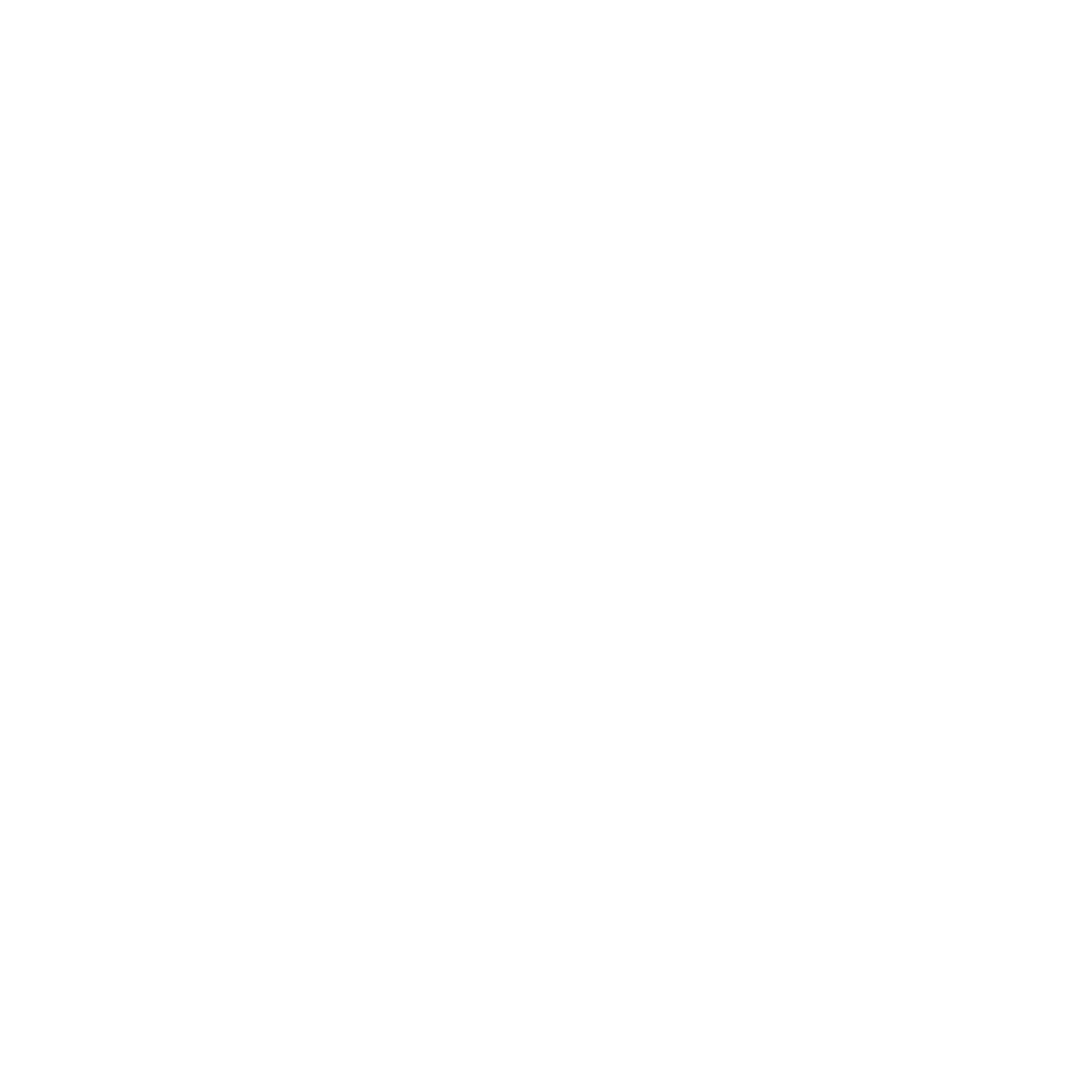 Diraízes